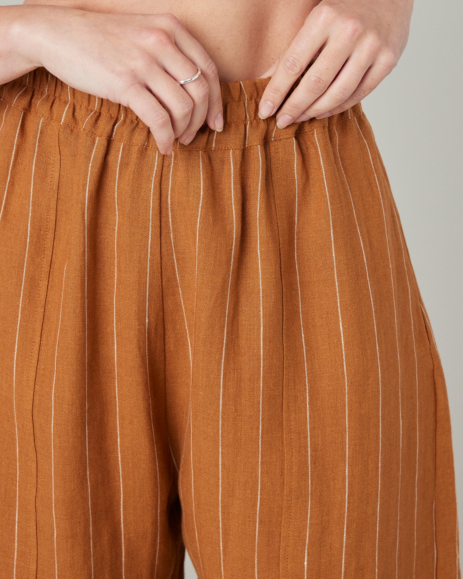 Liv Honey Pinstripe Linen Shorts - Image 14