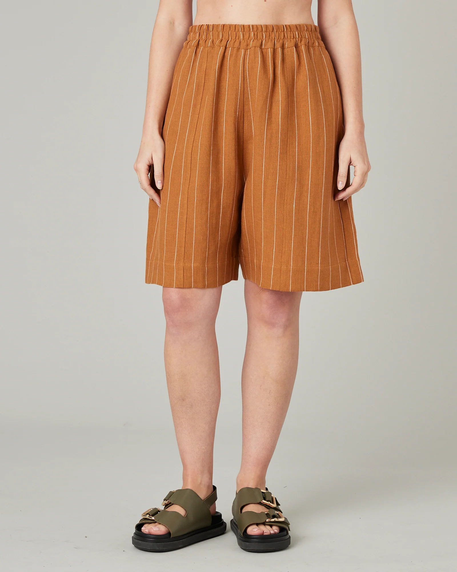 Liv Honey Pinstripe Linen Shorts - Image 8