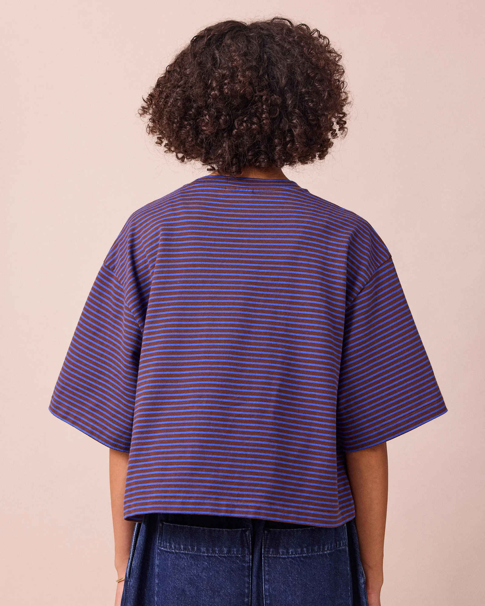 Nova Brown & Blue Stripe Jersey T-Shirt - Image 3