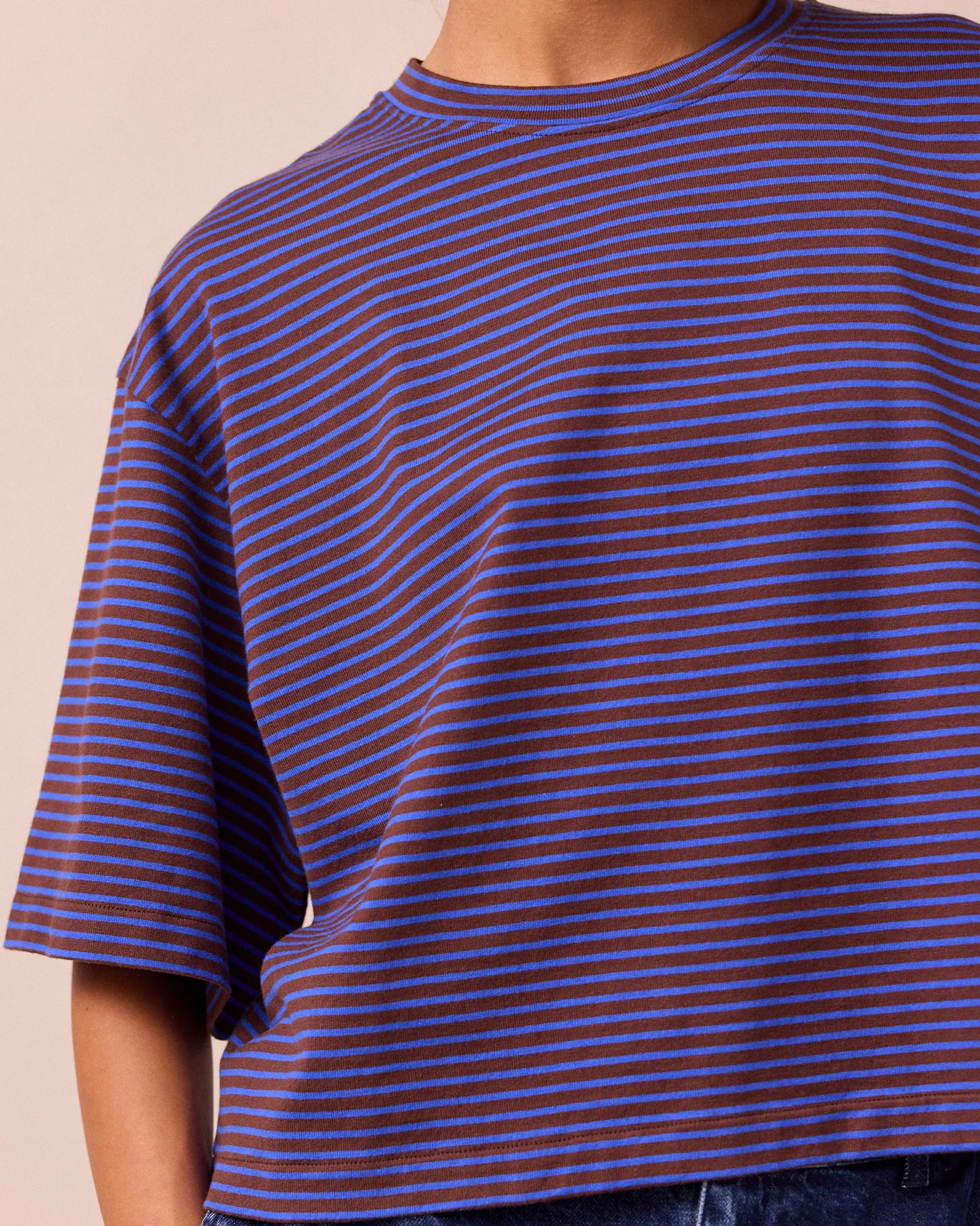 Nova Brown & Blue Stripe Jersey T-Shirt - Image 4